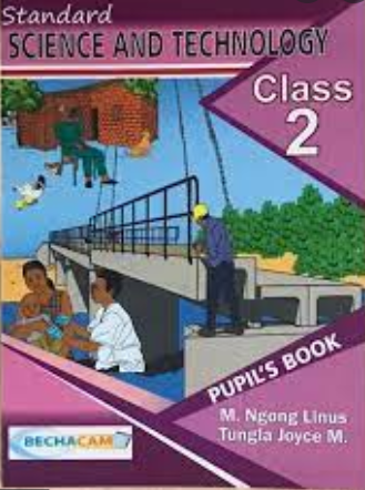 Standard Science and Technology - Class 2
