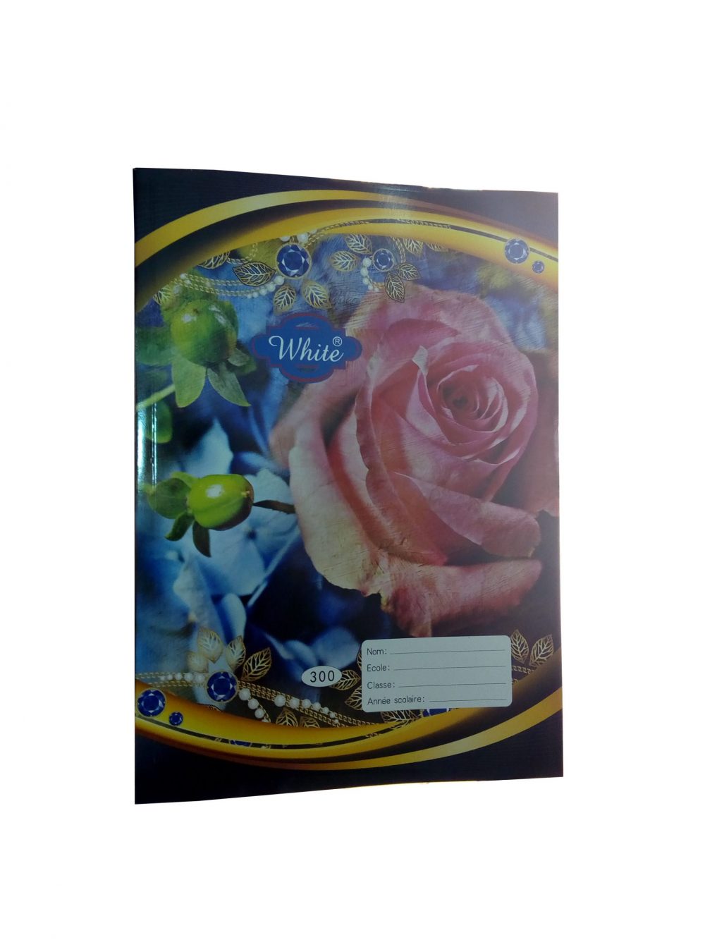 300 Pages White A5 - Cahier ordinaire