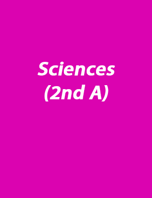 Sciences (2nd A)