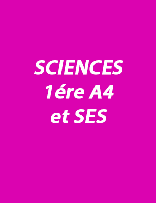 SCIENCES 1ére A4 et SES